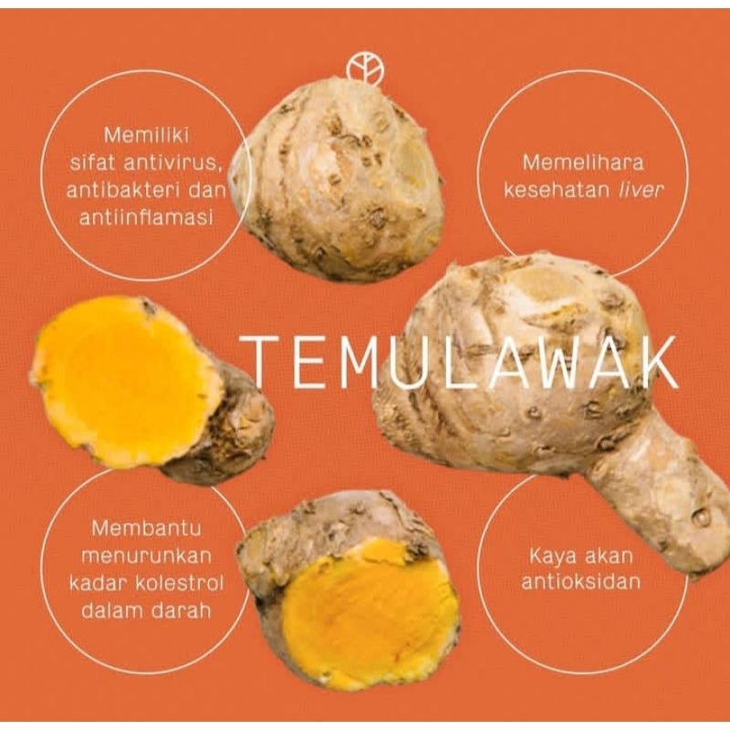 

TEMULAWAK 1KG FRES DI PANEN SAAT ADA ORDER