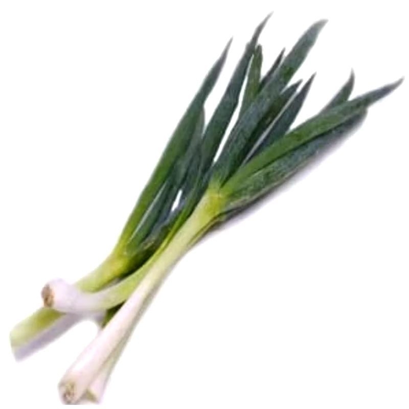 

Bawang pre bawang prei segar || KRIEGER