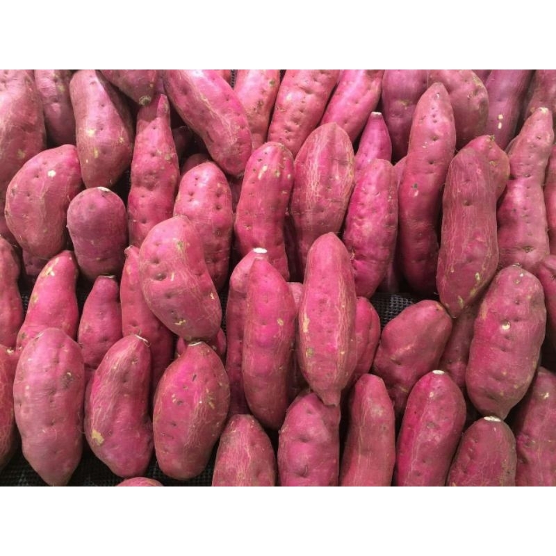 

UBI merah/ ubi jalar merah 1kg