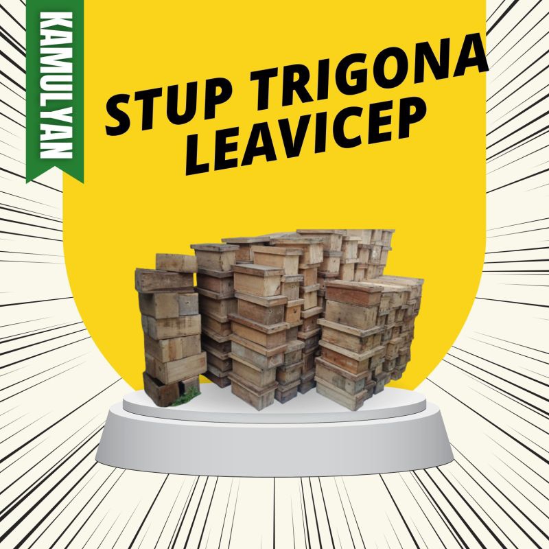 Stup Bekas Trigona Klanceng Leavicep