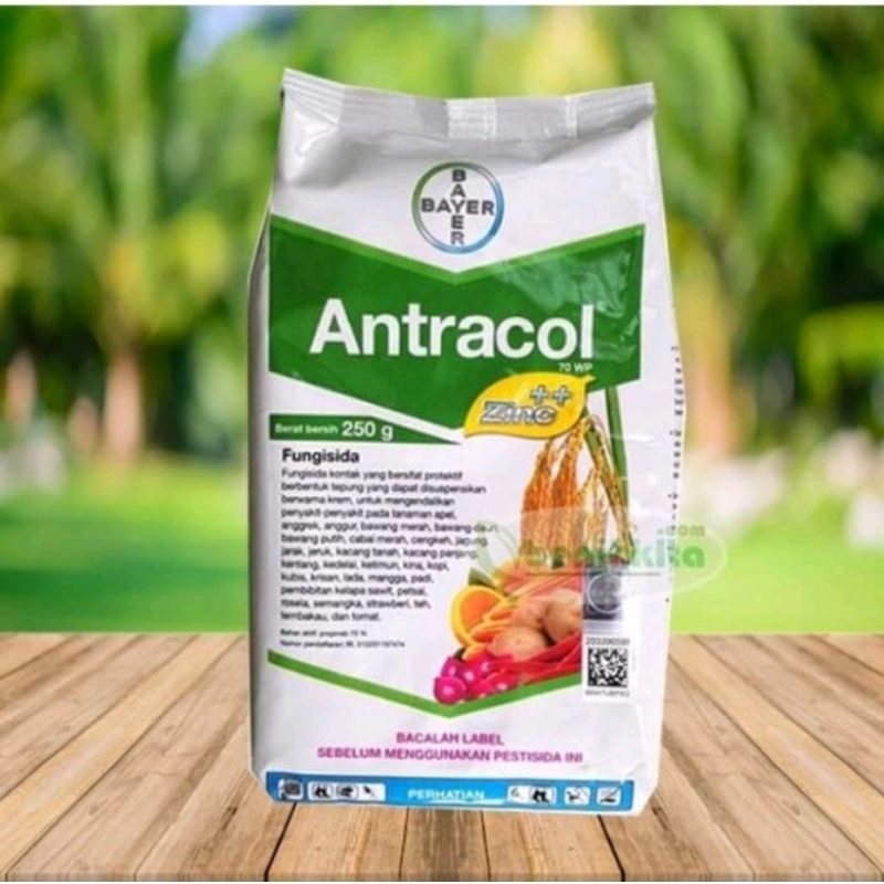 Antracol 70WP (1kg)