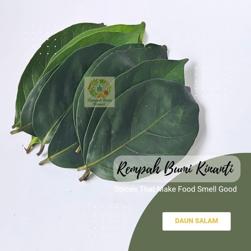 

DAUN SALAM SEGAR ORGANIK 100 GRAM BUMBU MASAK DAN OBAT HERBAL
