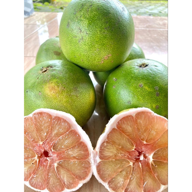

Jeruk Pamelo Muria 700-900 gram manis segar berair