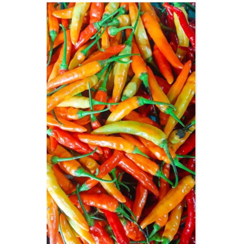 

cabe capek/cabe setan 100g