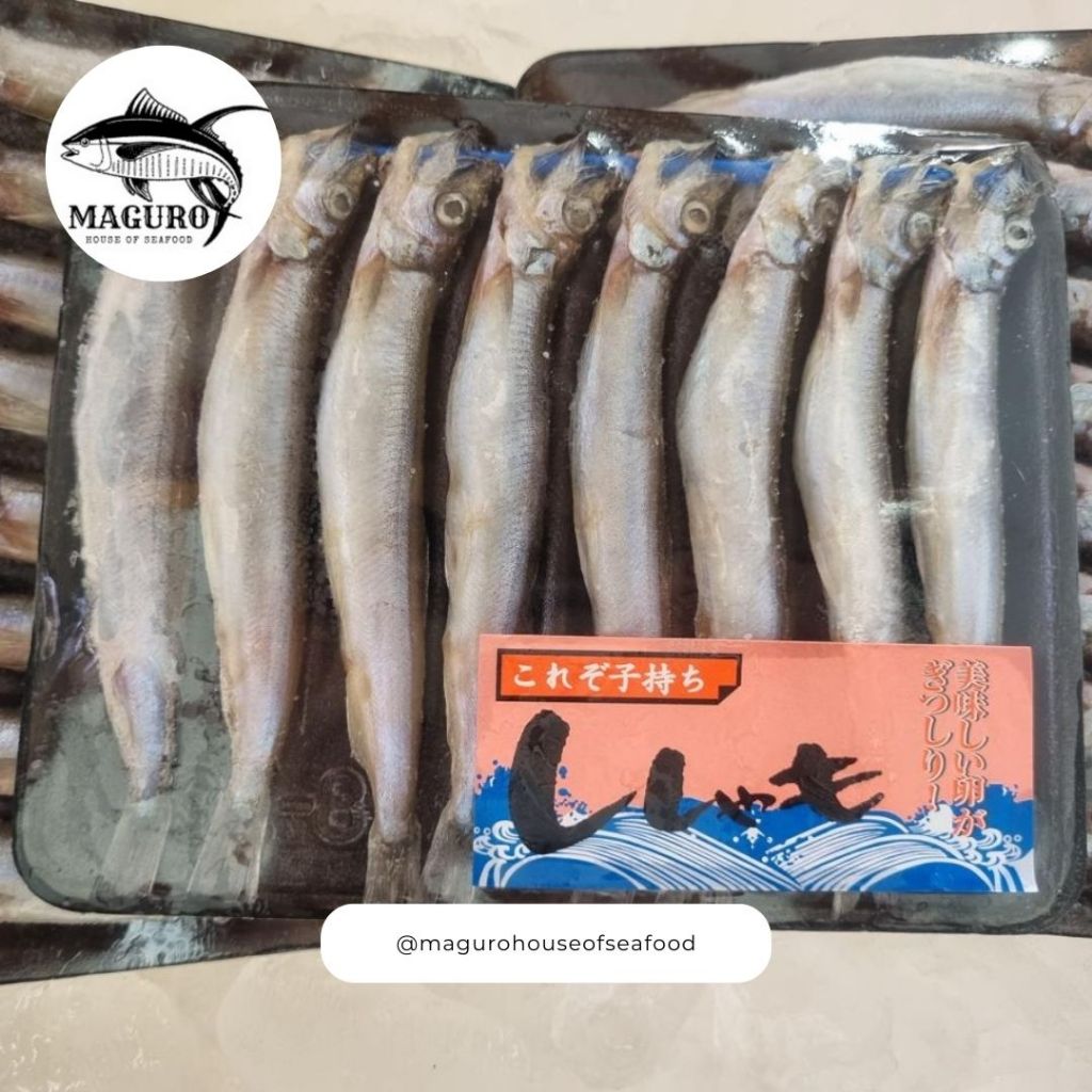 

Ikan Shisamo Capelin (Cipung)
