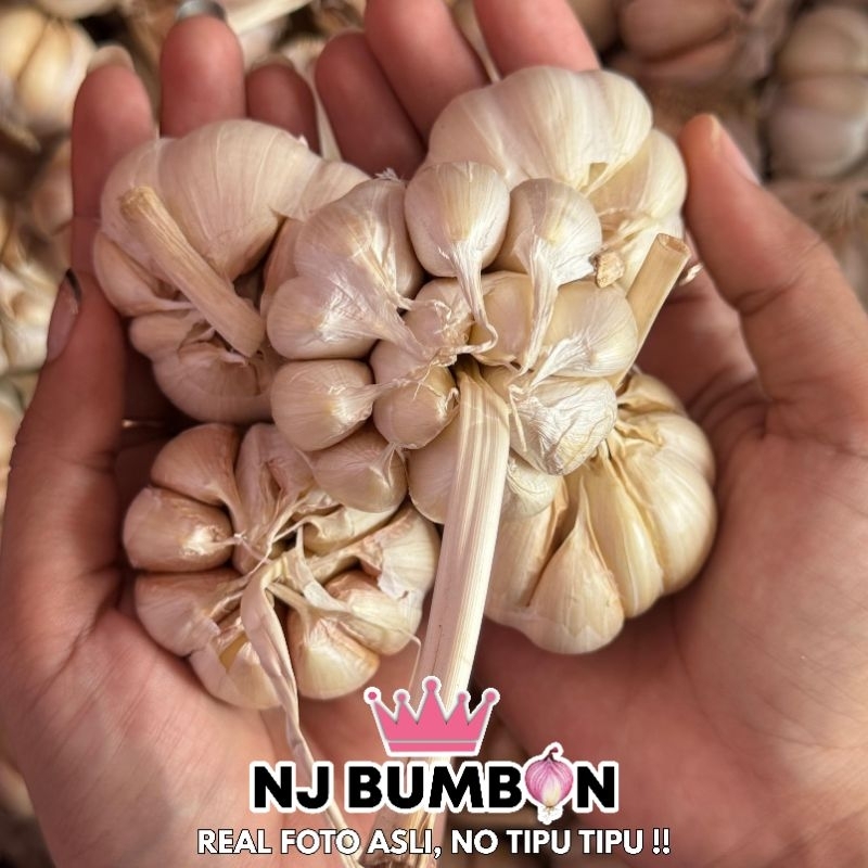 

Bawang Putih Murah - Bawang Putih Dua Putri - Bawang Putih Super - Langsung dari Petani - Siap Kirim