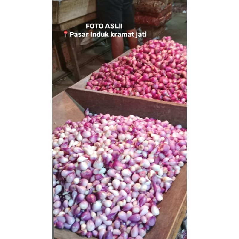 

Bawang Segar Besar Asli Brebes (5kg-up) Kecil(5kg-down) BELI BANYAK LEBIH MURAH!!!