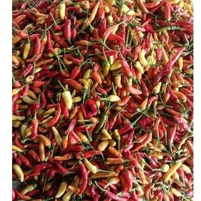 

Cabe / Cabai Rawit Murah 500gr