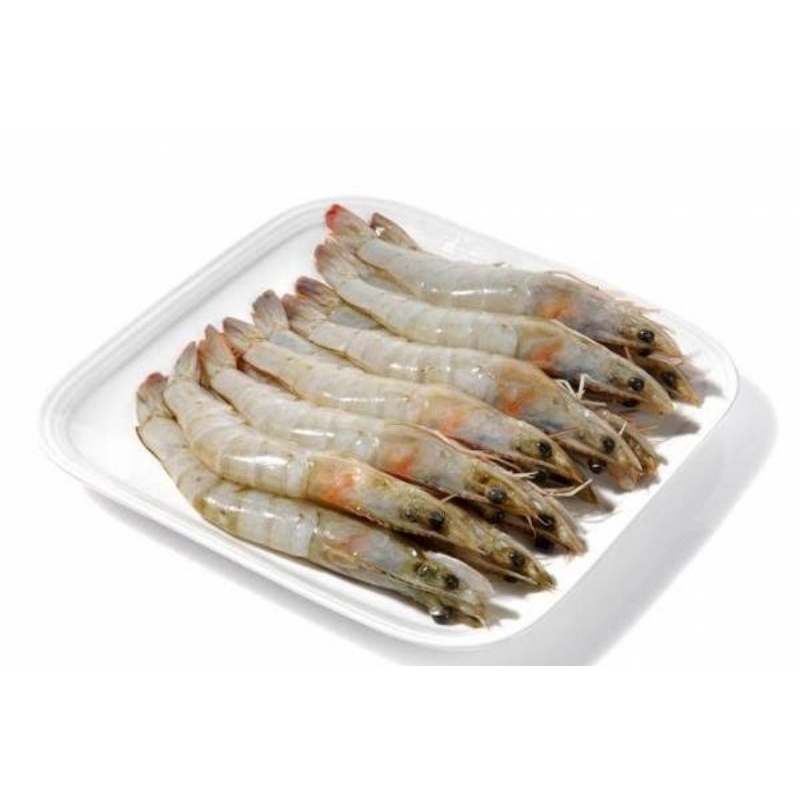 

udang fresh ukuran sedang 250gr-1kg