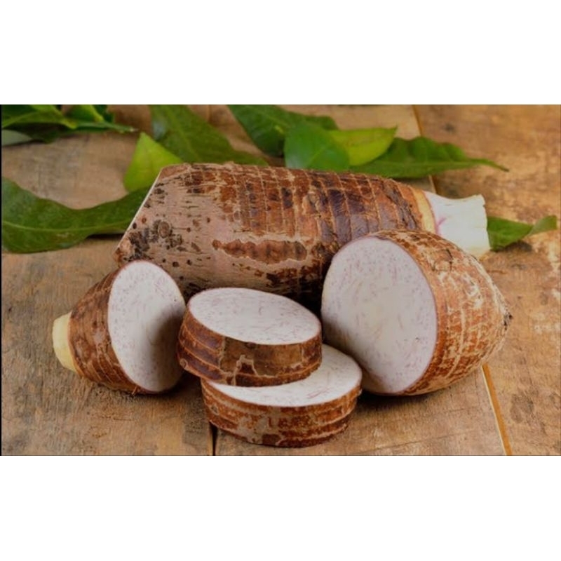 

promo umbi talas peratama segar/pulen gurih 1kg/redii siap kirim
