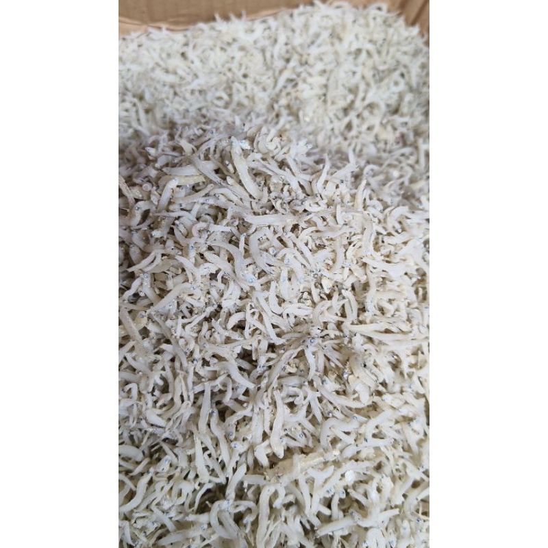 

Ikan Teri Medan - 100gram