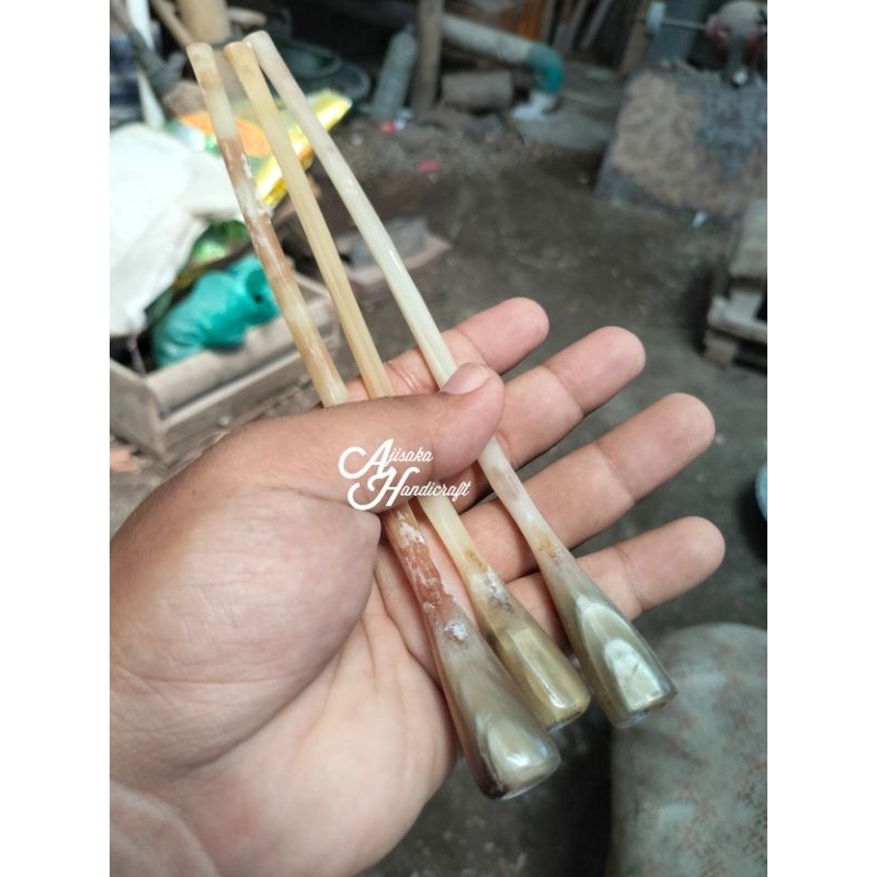 Pipa once / once cangklong tulang kalong tulang kelelawar