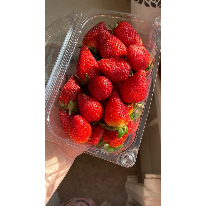 

Stroberi Segar Premium Manis Asam | Buah Fresh Langsung dari Petani