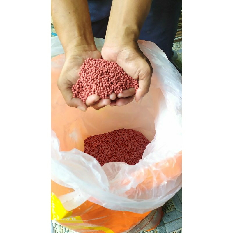 pelet koi 2mm berkualitas 1kg pelet merah koi pelet kura kura pelet reptil