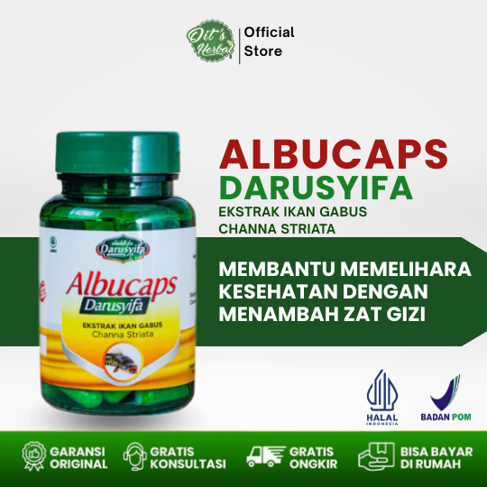 Kapsul Ikan Gabus ALBUCAPS Darusyifa 60 Kapsul Ekstrak Channa Striata