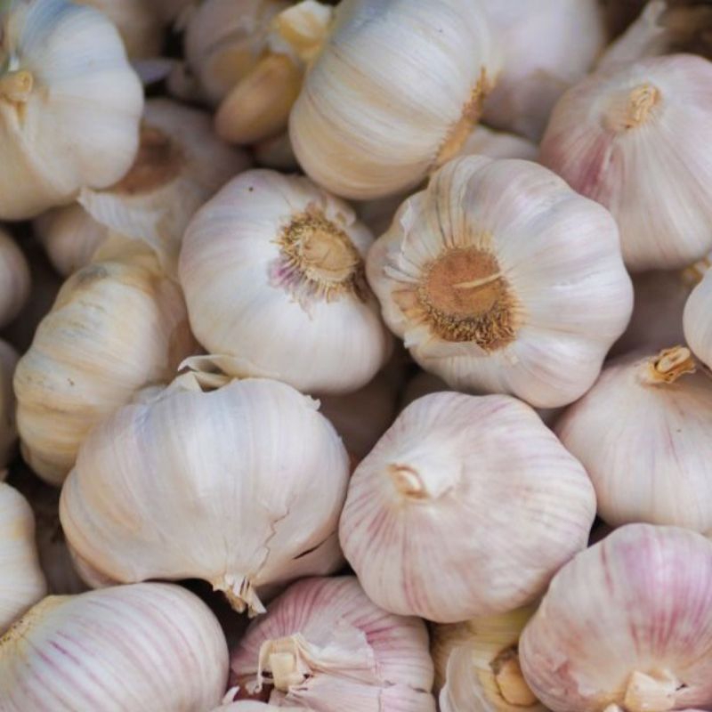 

Bawang putih kating fresh 100% ANTI BUSUK