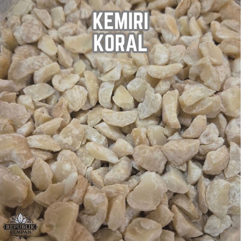 

Kemiri Koral / Kemiri Pecah Tiga / Candlenut