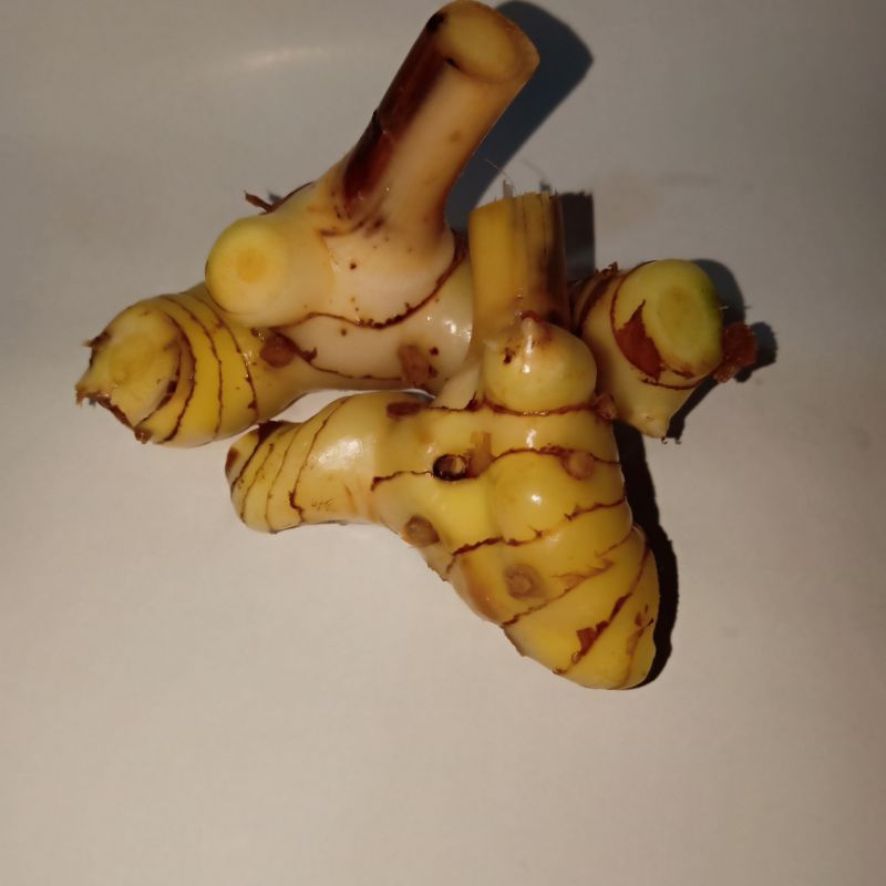 

lengkuas fres 250 gr