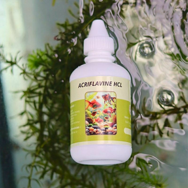 Acriflavine Hcl / Obat Jamur Ikan