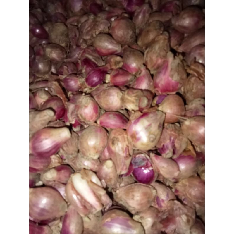 

bawang merah//bumbu dapur