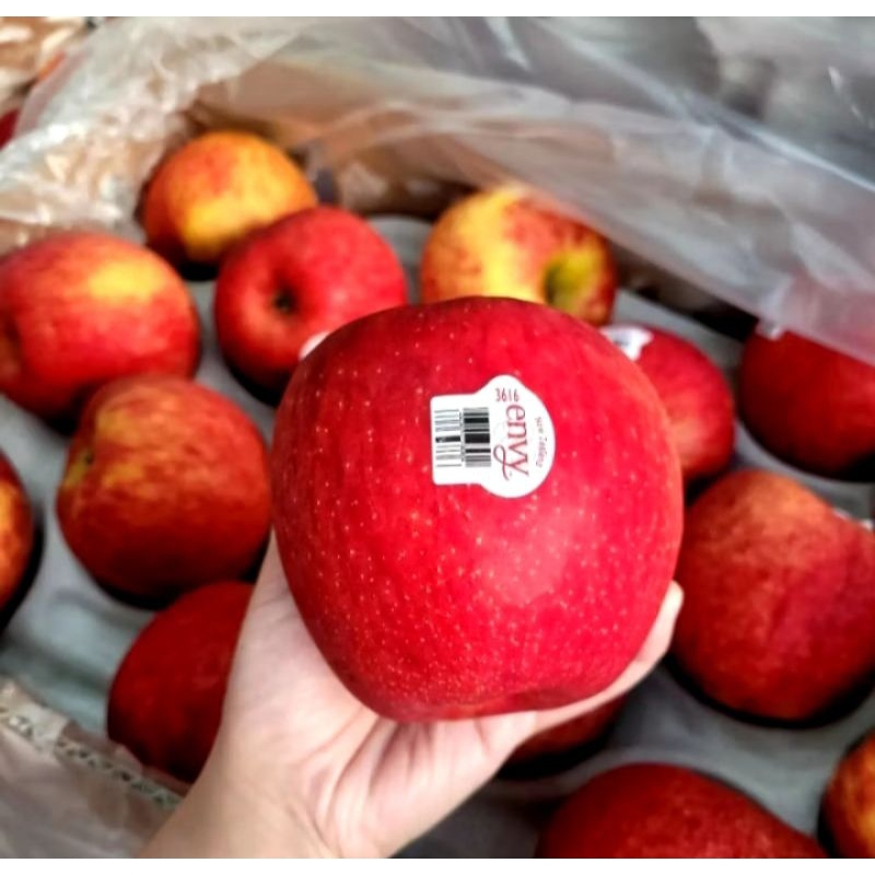 

Buah Appel Envy Manis 1Kg