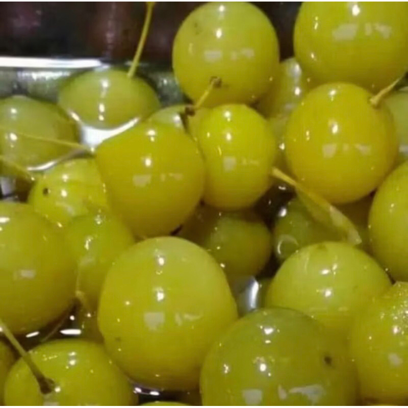 

Anggur Bogor (500gram)