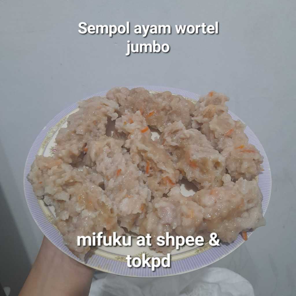 

Sempol ayam wortel jumbo halal