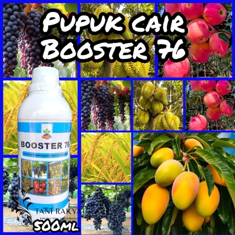 Pupuk Buah Hologram Pupuk Pembungaan dan pembuahan