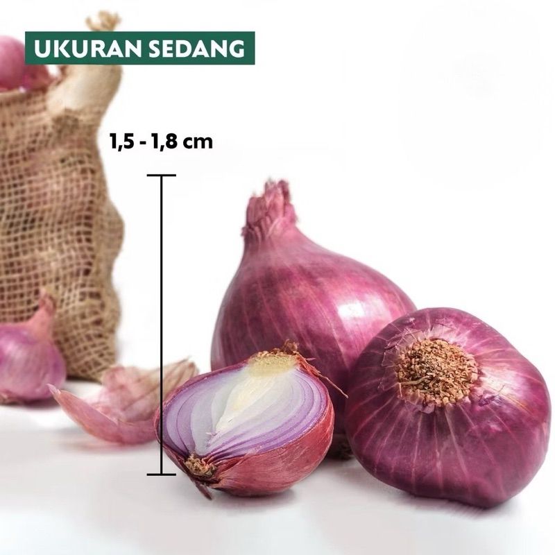 

Bawang Merah Super Ukuran Sedang
