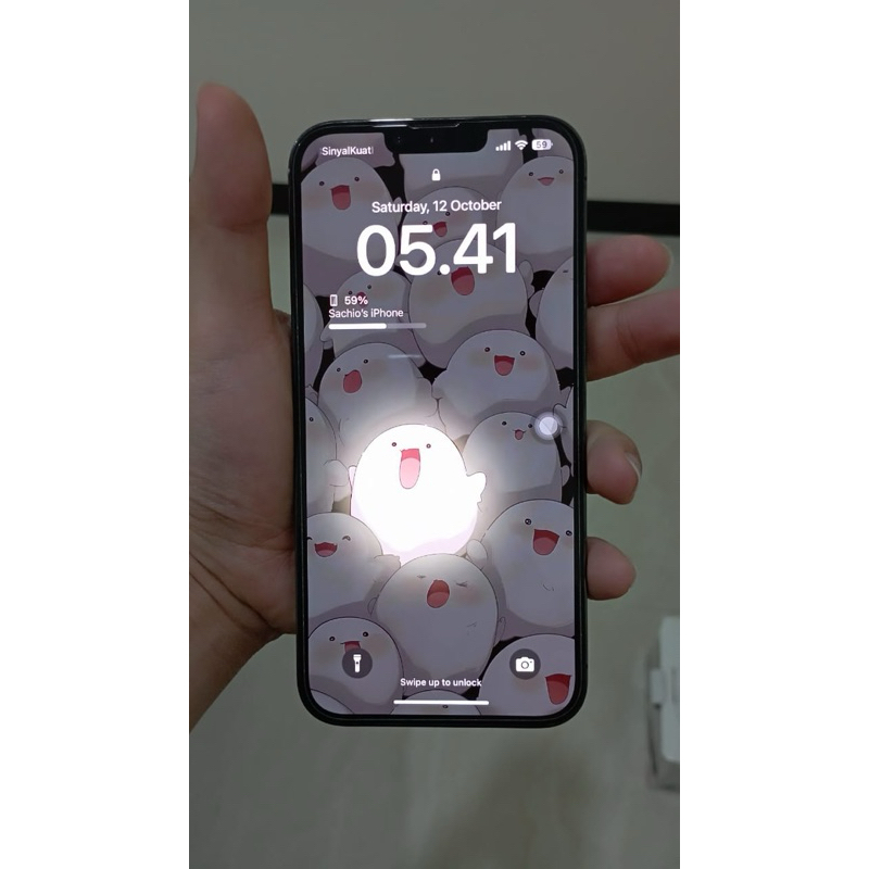 Iphone 13 Pro Max ori ibox