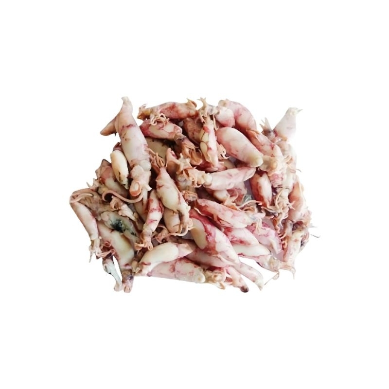 

Ikan Cumi Asin