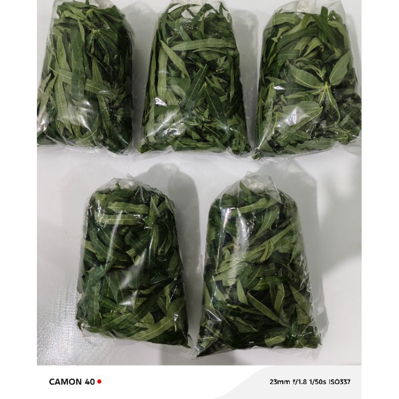 

Daun ubi kayu petik