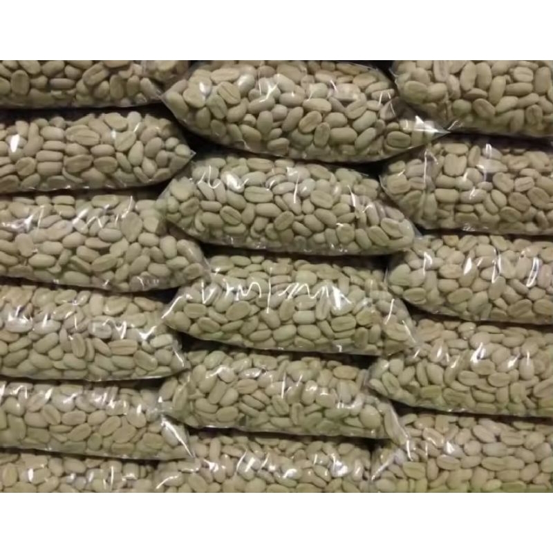 

BIBIT BIJI KOPI ARABIKA 1 KG SUDAH BERSIH DAN KERING