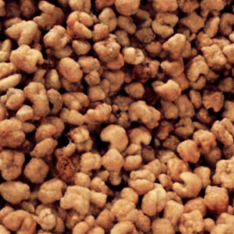 

Marning Jagung