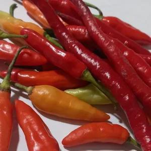 

cabe rawit merah campur kriting merah 250 g