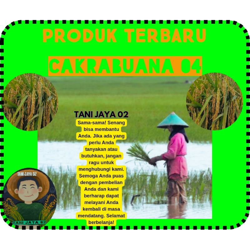 BENIH PADI UNGGUL CAKRABUANA 04