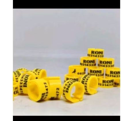 Ring Klip merpati dewasa