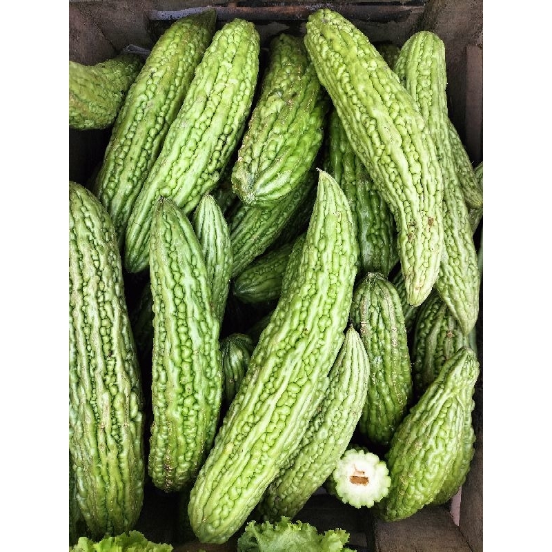 

sayur pare fresh 250gr