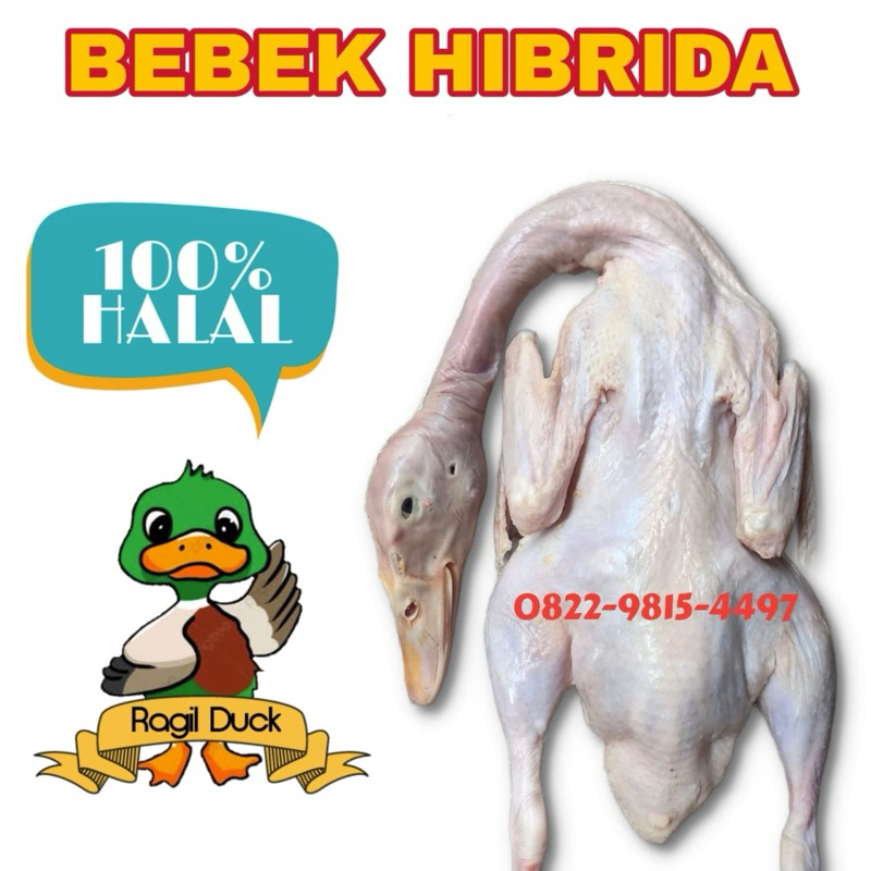 

Daging bebek frozen