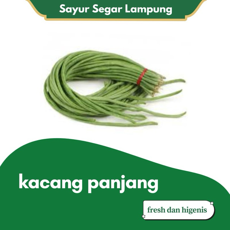 

Kacang Panjang 1 ikat