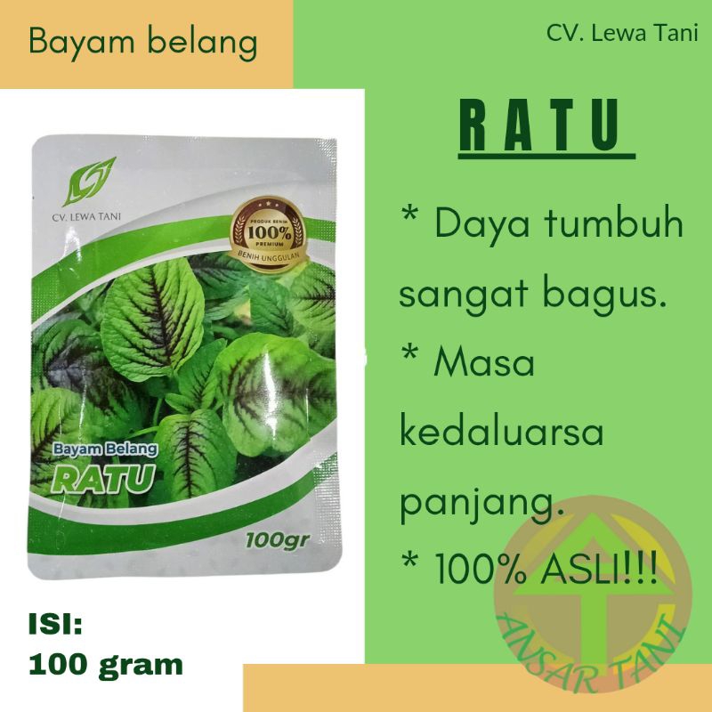 

Bayam belang RATU (isi : 100 gram) CV. LEWA TANI