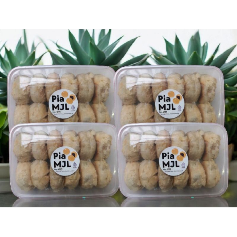 

Kue Pia Kacang Ijo Isi 12 Ongkir Gratis Harga Termurah Bakpia Kacang ijo