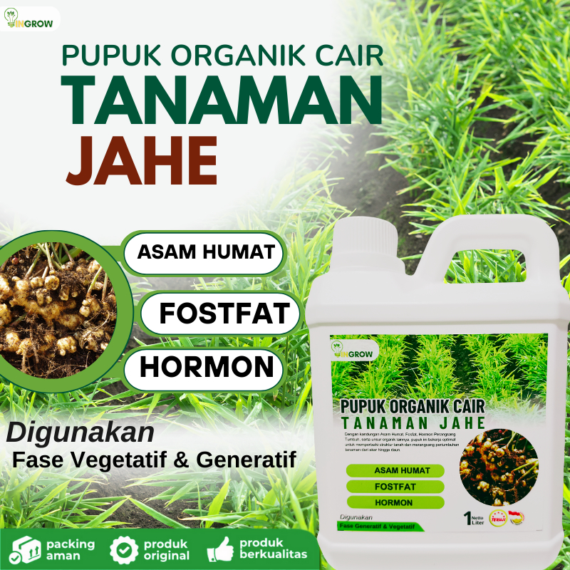 Pupuk organik cair khsusus tanaman jahe,Pupuk pembesar umbi jahe,Pupuk penyubur tanaman jahe