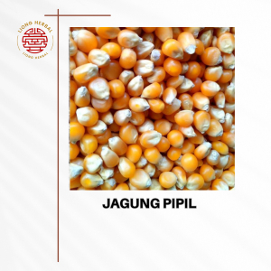 

Jagung popcorn pop corn Jagung mentah Biji
