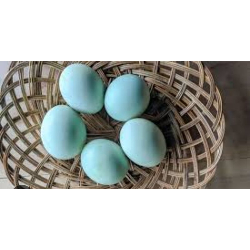 

telur bebek 4butir