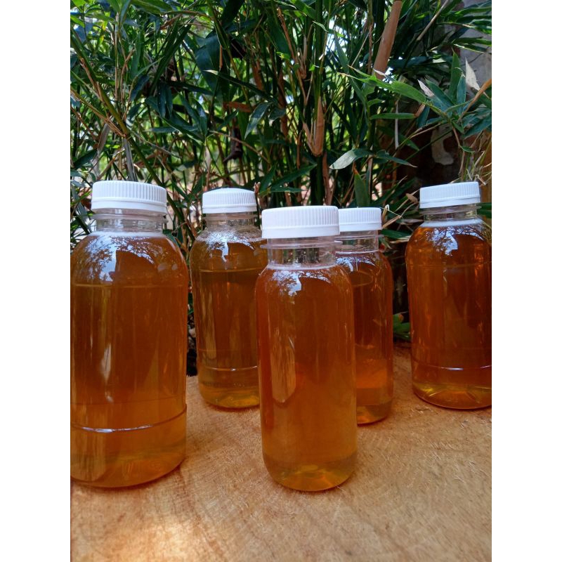 

madu lanceng asli murni lampung 460gram