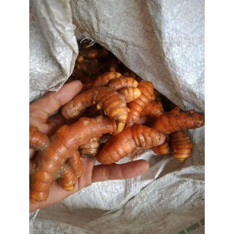 

kunyit kuning per 1kg