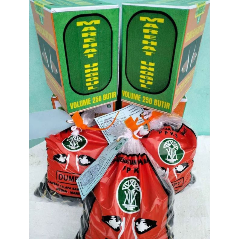 PPKS DUMPY BERKUALITAS UNGGUL