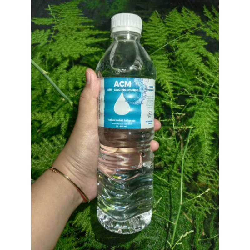 Air Cacing Murni (ACM) air cacing bening ORIGINAL!