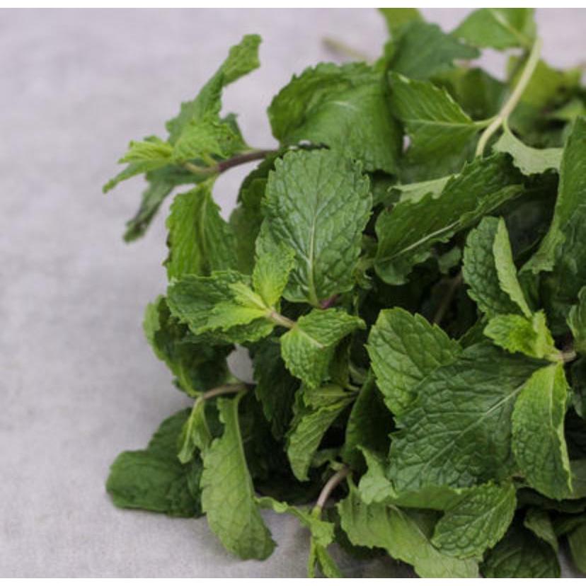 

Daun Mint (Per Pack) Bumbu Segar untuk Hidangan dan Minuman Ibu Rumah Tangga